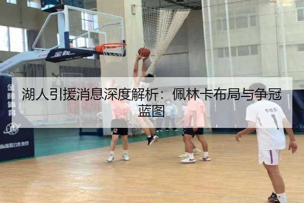 湖人引援消息深度解析：佩林卡布局与争冠蓝图